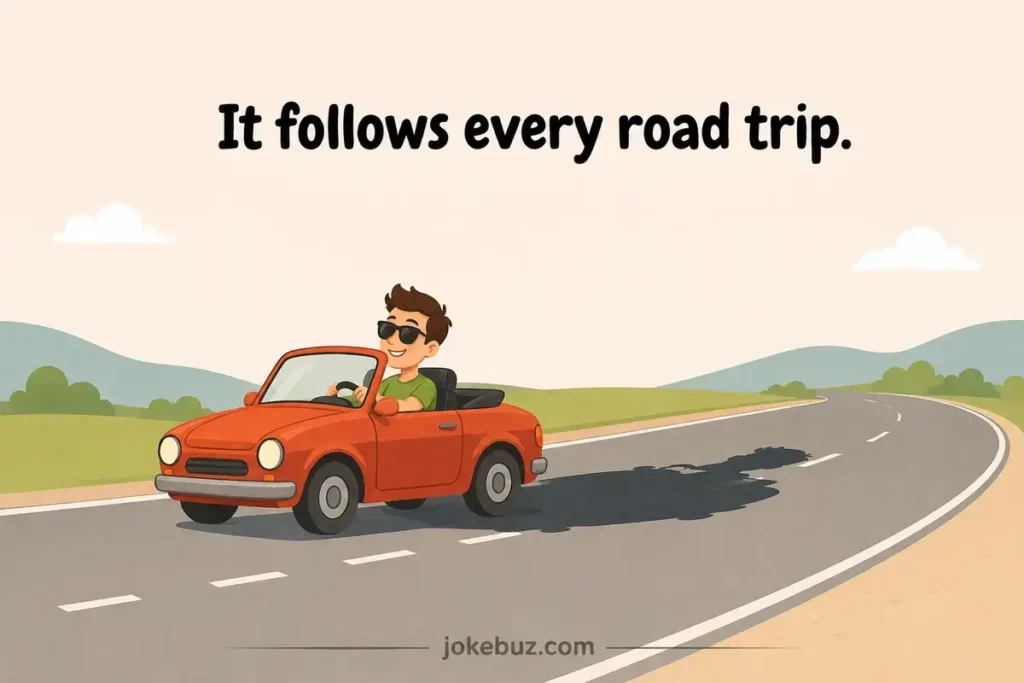 Hilarious Shadow Puns For Drivers