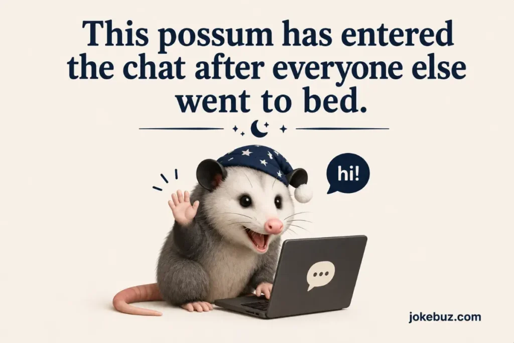 Possum Puns For Reddit