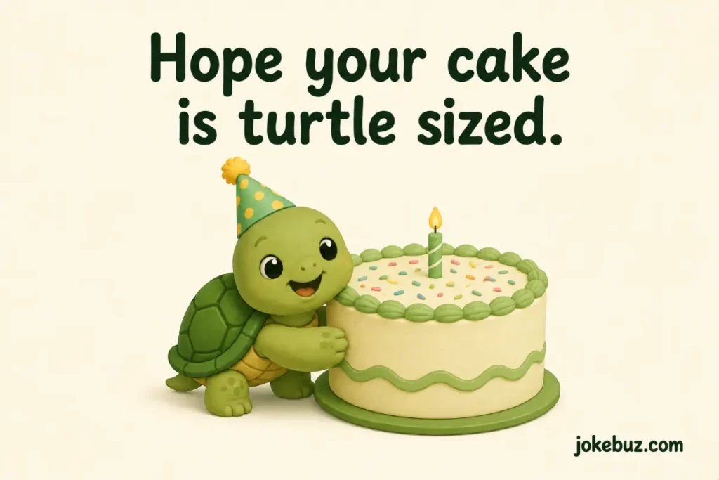 Turtle Puns For Birthday