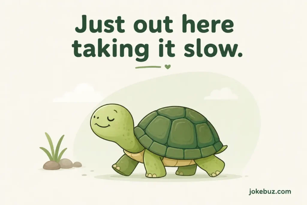 Turtle Puns For Instagram