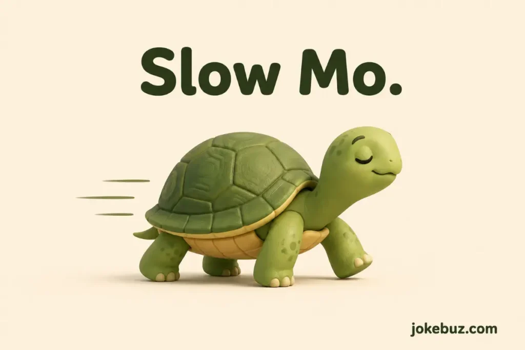 Turtle Puns Names For Babies